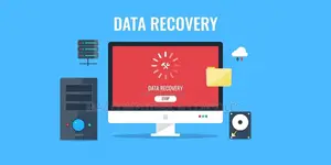 Data Recovery Service