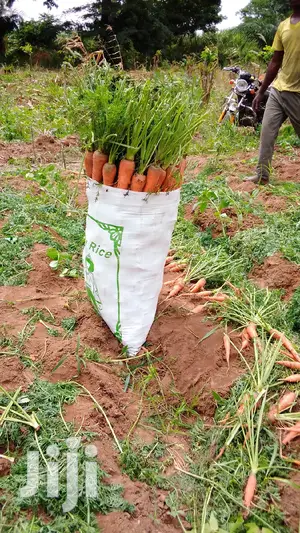Fresh Carrots