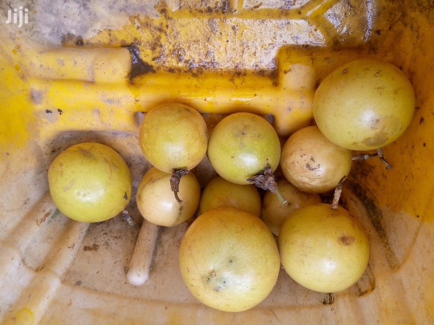 Passion Fruit Seedlings For Sale in Ahafo Ano South Feeds