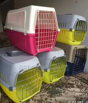 Plastic Crate For Puppies And Toy Dogs
