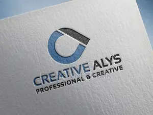 Professional Logo Designer