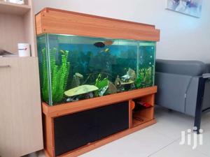 Aquarium