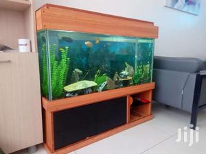 Aquarium