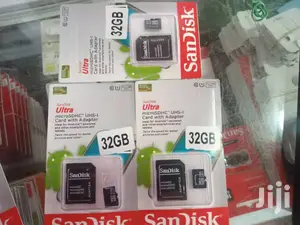 32GB Sandisk SD Card
