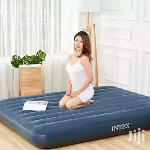 Beautiful Airbed With Free Pump
