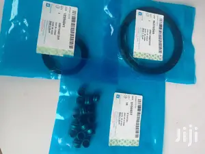 Chevrolet Cruze 1.4 Crankshaft And Valve Seals (GM)