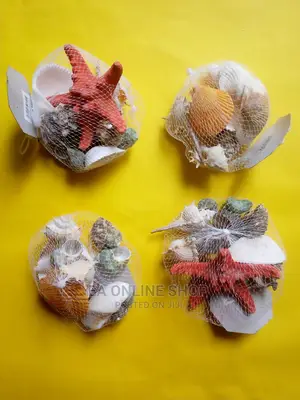 Aquarium Sea Shells