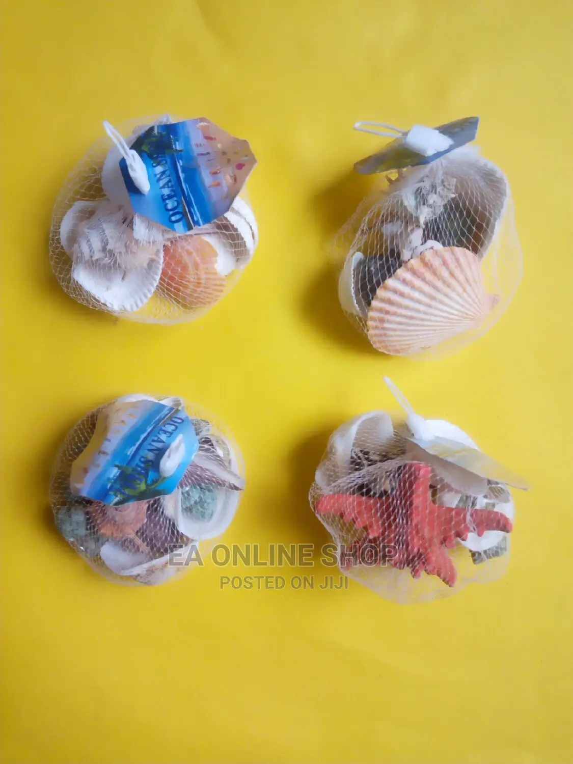 Aquarium Sea Shells