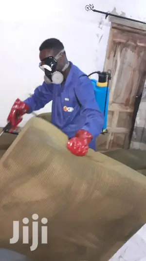 Most Effective Bedbug Fumigation