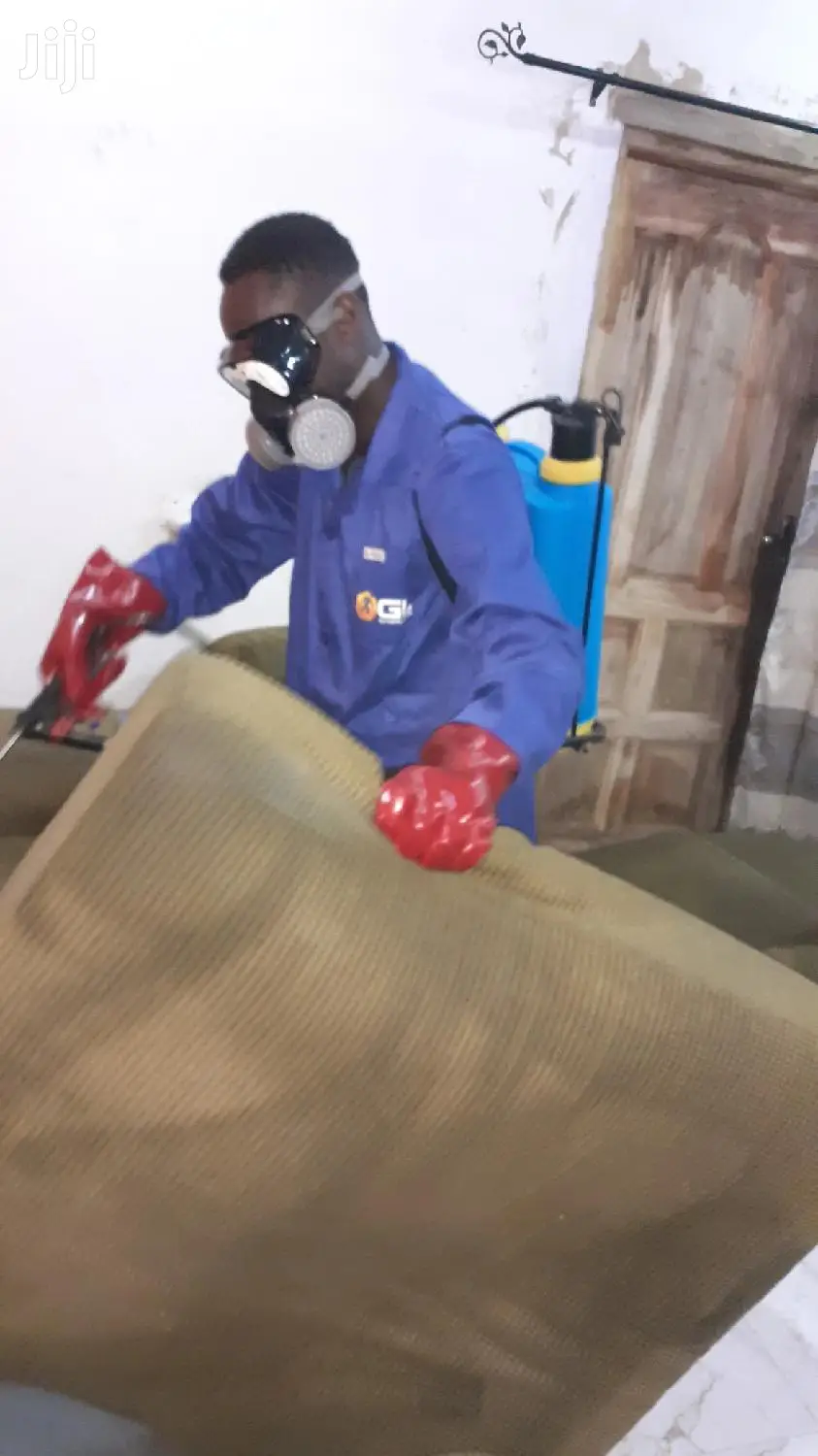 Most Effective Bedbug Fumigation
