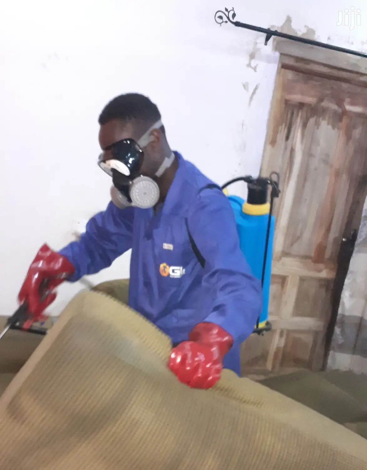 Cockroaches Fumigation Service