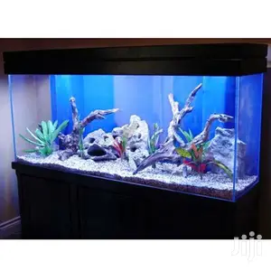 Aquarium Tank