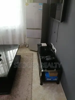 Furnished 1bdrm Condo in Seekers Realty, Osu for rent