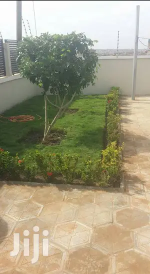 Gardening (Green Grass Growing/Installation) Services