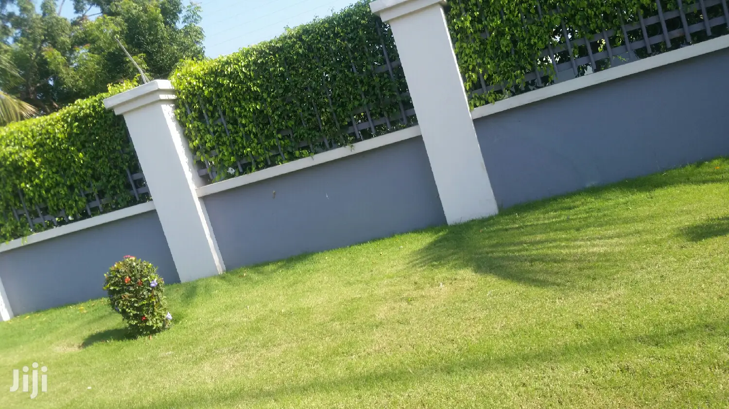 Gardening (Green Grass Growing/Installation) Services