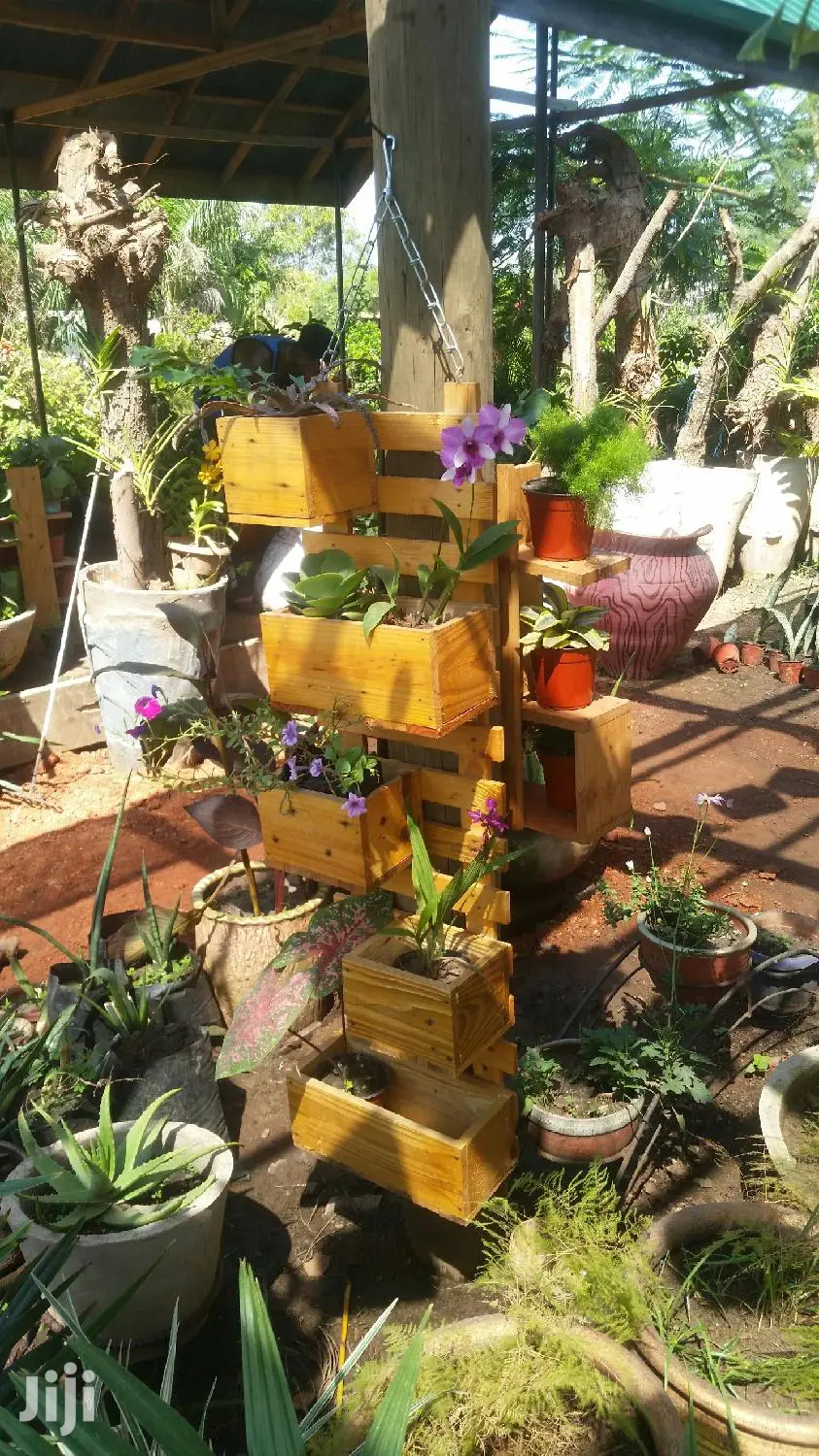 Gardening (Green Grass Growing/Installation) Services