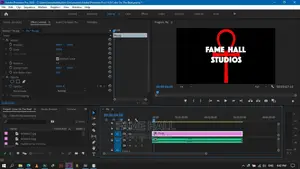 Professional Video Editor