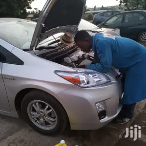 Hybrid Electric Vehicles Specialist.