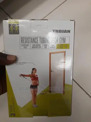 Resistance Tubing Door Gym At Cool Price
