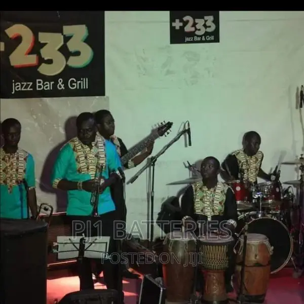 Live Band Music And Instrumentalist