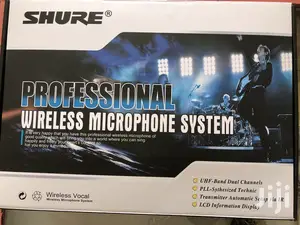 Shure 2 In 1 Microphone