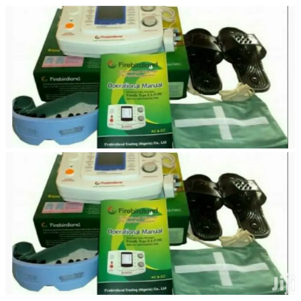 Electronic Pulse Massager