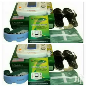 Electronic Pulse Massager